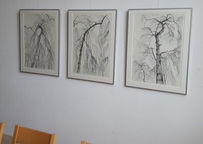 Wim Schot De Drie Bomen, grafiet en Siberisch krijt